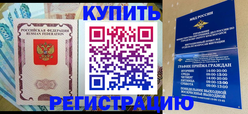 прописка законно в Светлограде